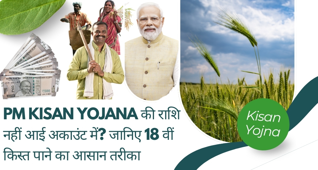 PM Kisan Yojana की राशि नहीं आई अकाउंट में? जानिए 18वीं किस्त पाने का आसान तरीका